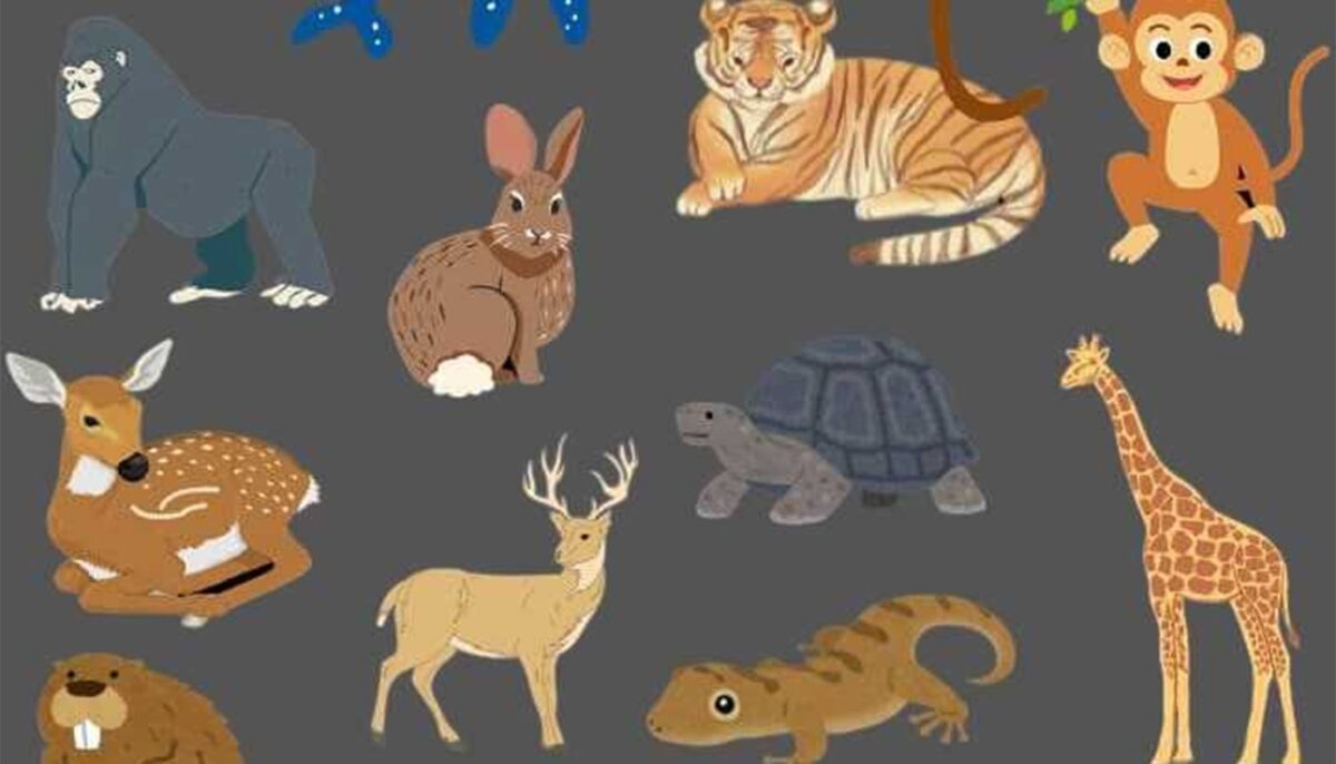 Test de logică exclusiv pentru genii | Care animal este diferit de toate celelalte?
