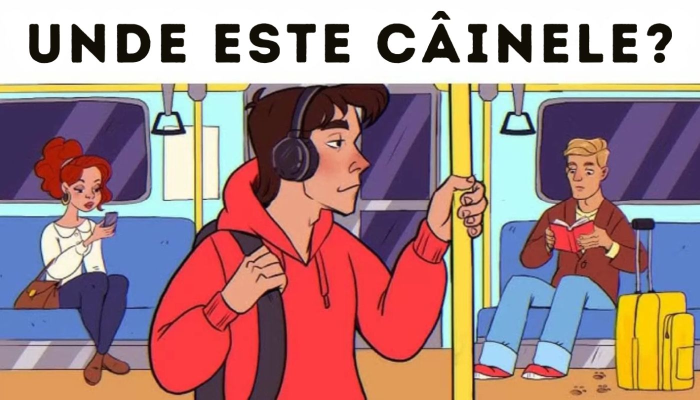 Test IQ | Unde se ascunde câinele? Cei mai ageri ochi îl găsesc în doar 5 secunde