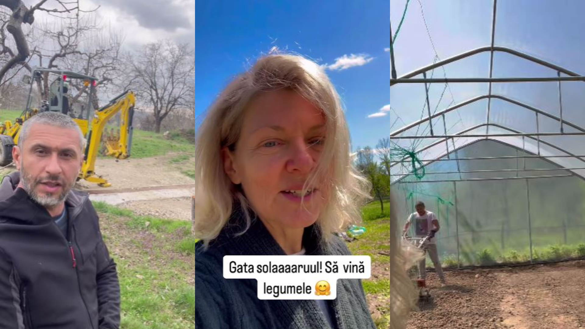 Cum arată solarul Danei Nălbaru și al lui Dragoș Bucur. Vedetele vor planta legume: „Ne inspiri”