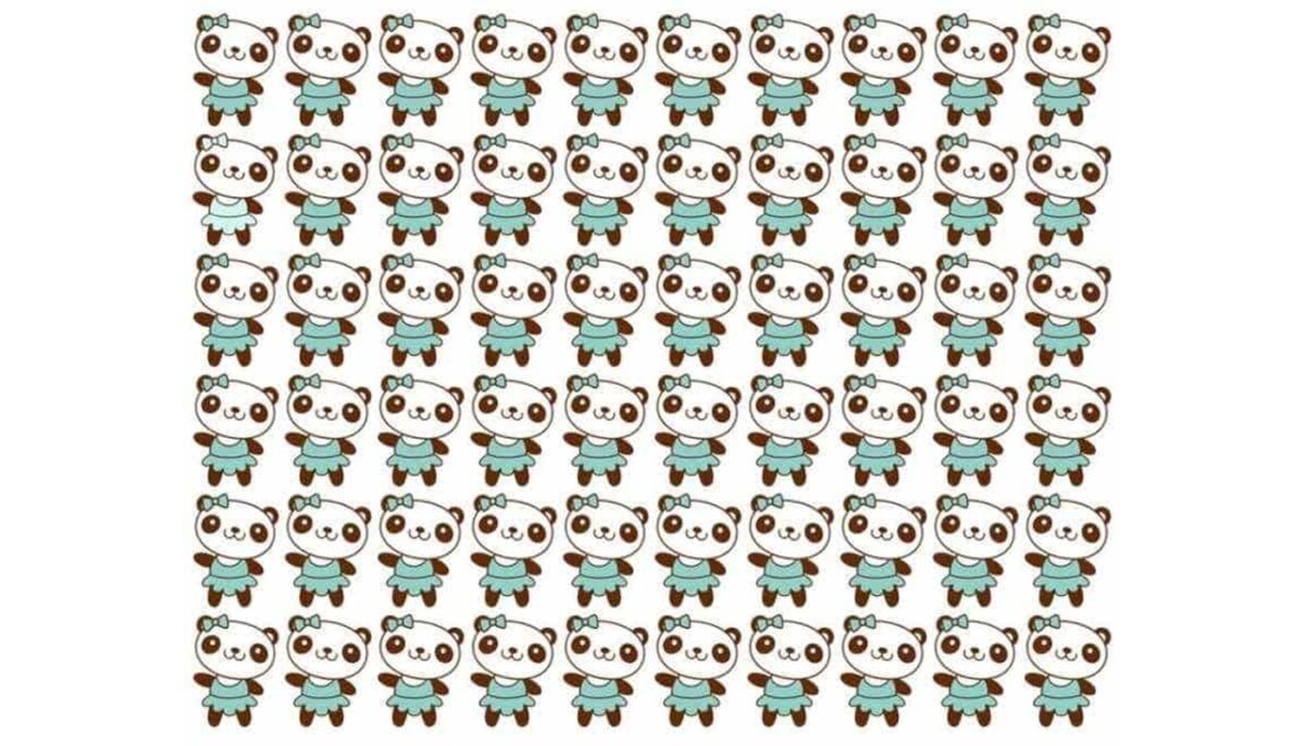 Test de logică | Un singur ursuleț panda este diferit de toți ceilalți. Îl puteți găsi?