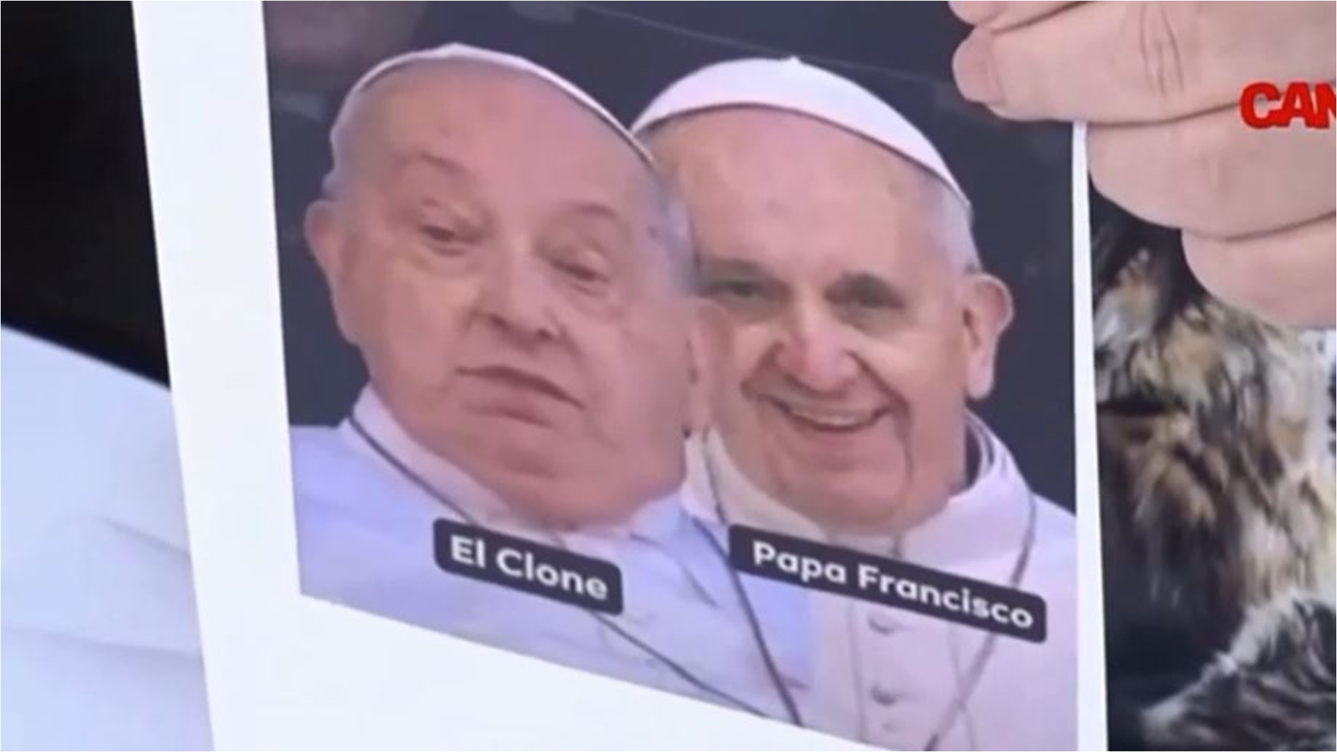 ”Papa Francisc a murit în februarie”! Diferențele dintre Papa și ”clona”, dezvăluite la Dan Diaconescu Direct