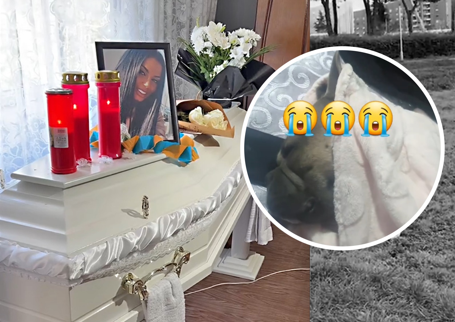 Scene tulburătoare lângă sicriul tinerei ucise în Italia. Cățelul Denisei și-a vegheat aproape în permanență stăpâna. ”Mi-a rupt sufletul”