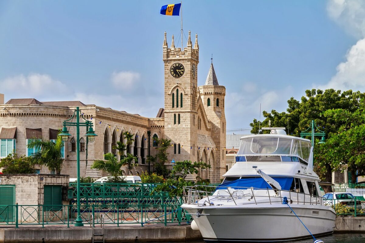 Cel mai mic șarpe din lume are doar 10 cm. A reapărut în Barbados, la 20 de ani de la ultima apariție