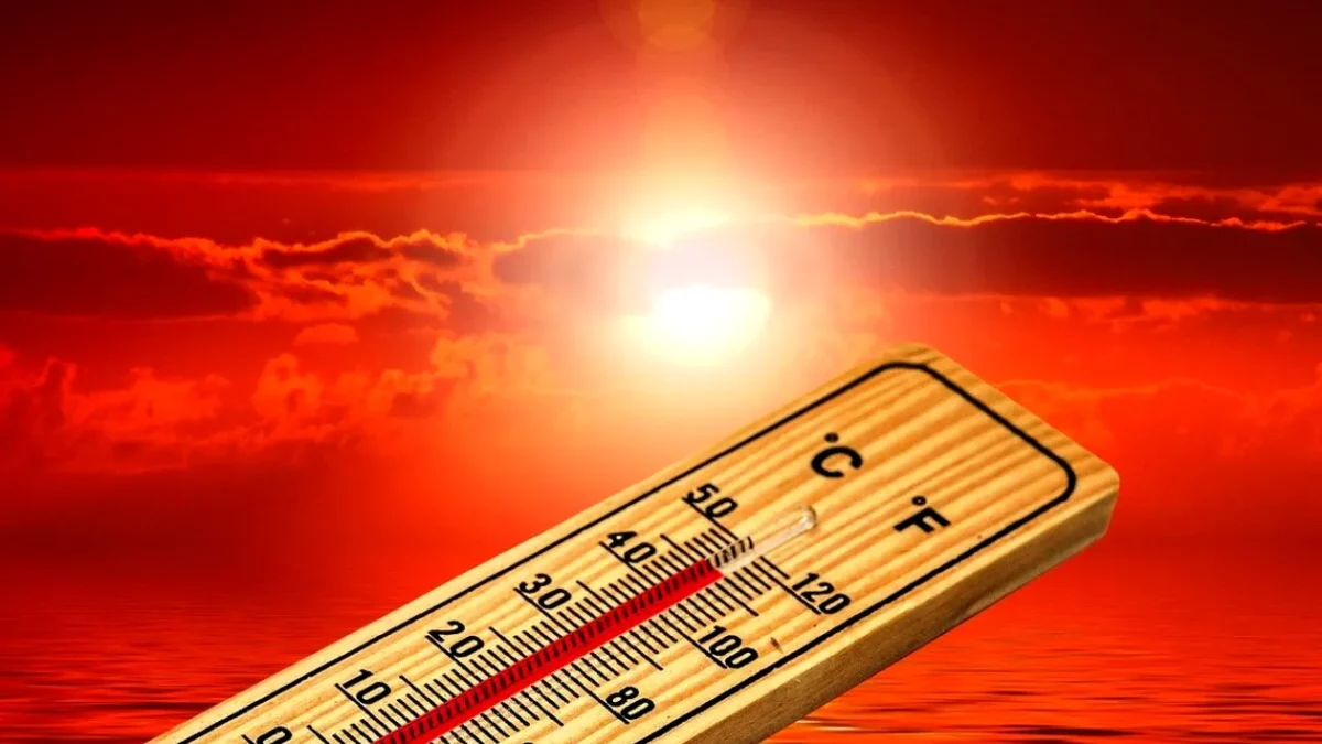 Imagine Stire 24 de valuri de căldură pe an în București! Cu cât vor crește temperaturile în 2100 | 2review.ro