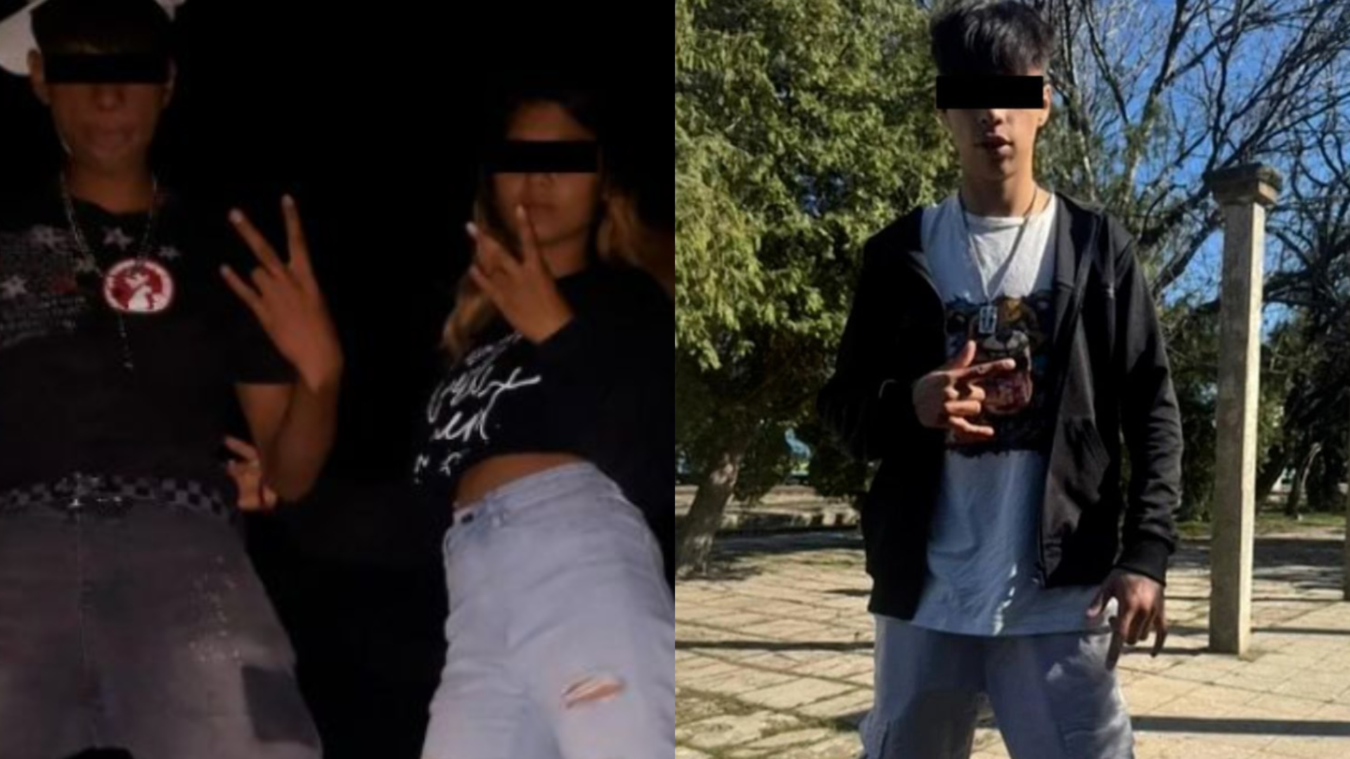 Ea este Georgiana, tânăra care s-a sinucis pe A1. Gestul făcut de adolescentă înainte să se sinucidă