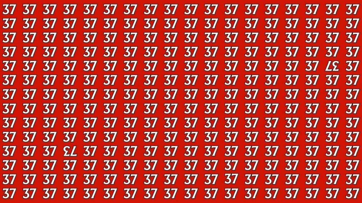 Imagine Stire Test de inteligență | Găsiți numerele ’37’ și ’73’ care sunt inversate, în doar 15 secunde! | 2review.ro