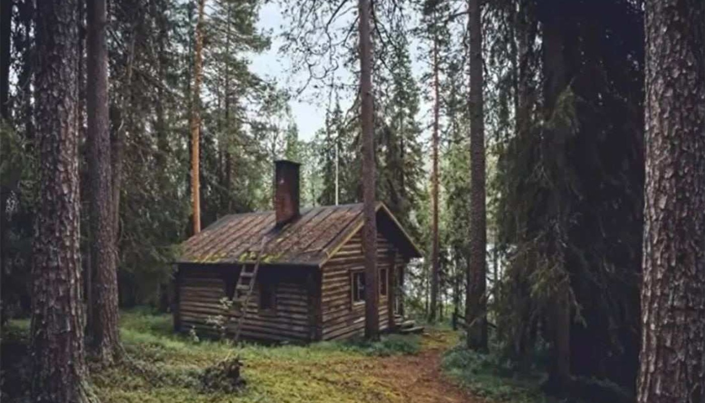 Iluzie optică virală | Doar 1 dintre 100 de persoane poate găsi ursul ascuns în această imagine