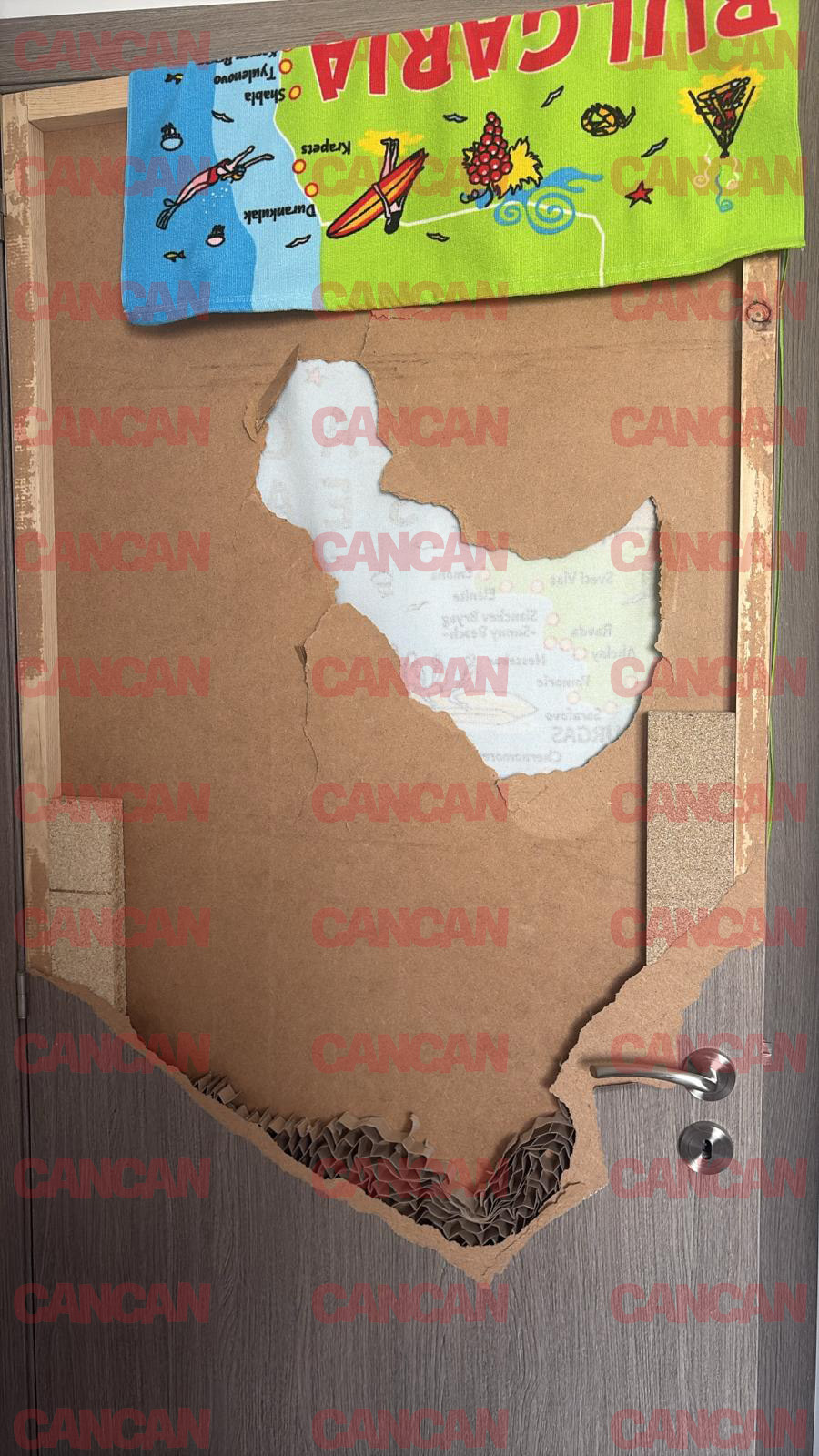 Soţia lui Ionuţ Frumuşelu acuză că a trăit în teroare! “Mă amenință constant că mă omoară” Protejatul lui Dan Bursuc riscă să piardă TOTUL!