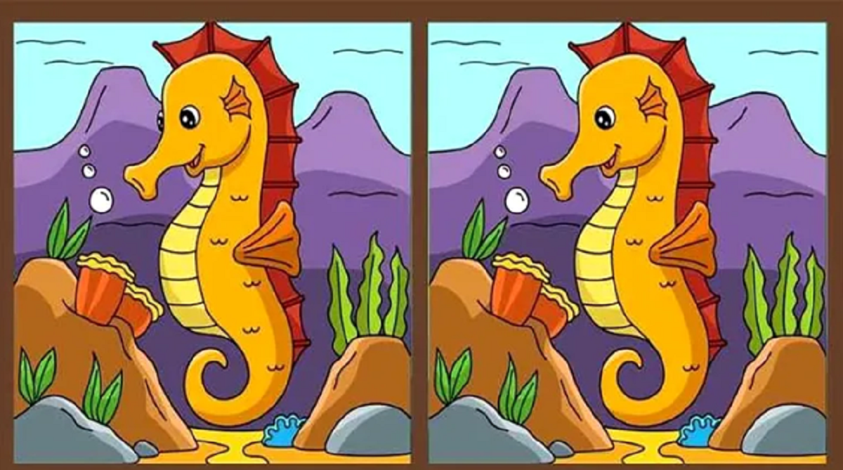 Test IQ | Există 3 diferențe între aceste imagini, însă doar cei mai inteligenți le pot observa