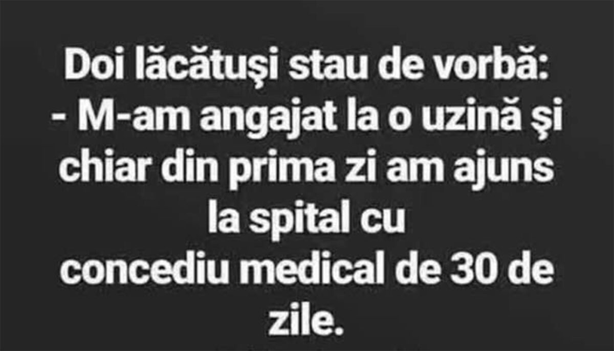 Imagine Stire BANC | Doi lăcătuși stau de vorbă | 2review.ro