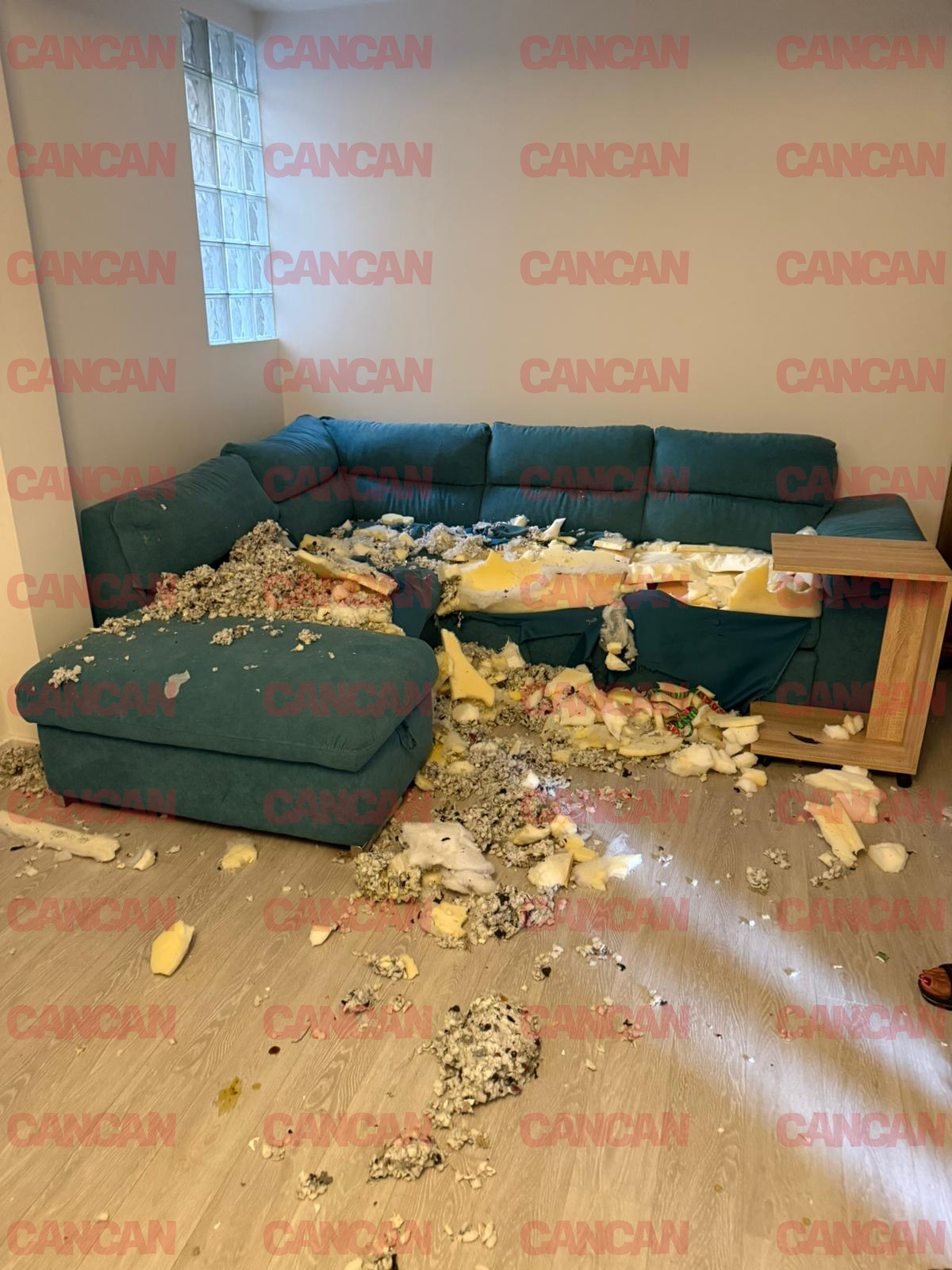 Apartamentul pe care l-a devastat Calina și iubitul ei.