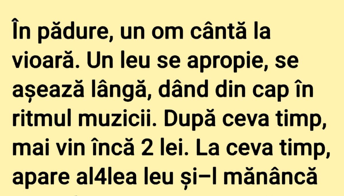 Imagine Stire BANCUL ZILEI | Violonistul din pădure | 2review.ro