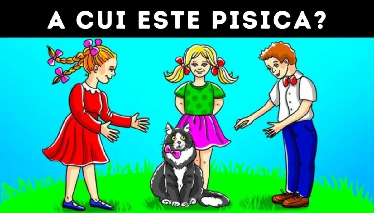 Imagine Stire Test de inteligență | Cine este stăpânul pisicii din imagine? Ai fix 10 secunde să ghicești | 2review.ro