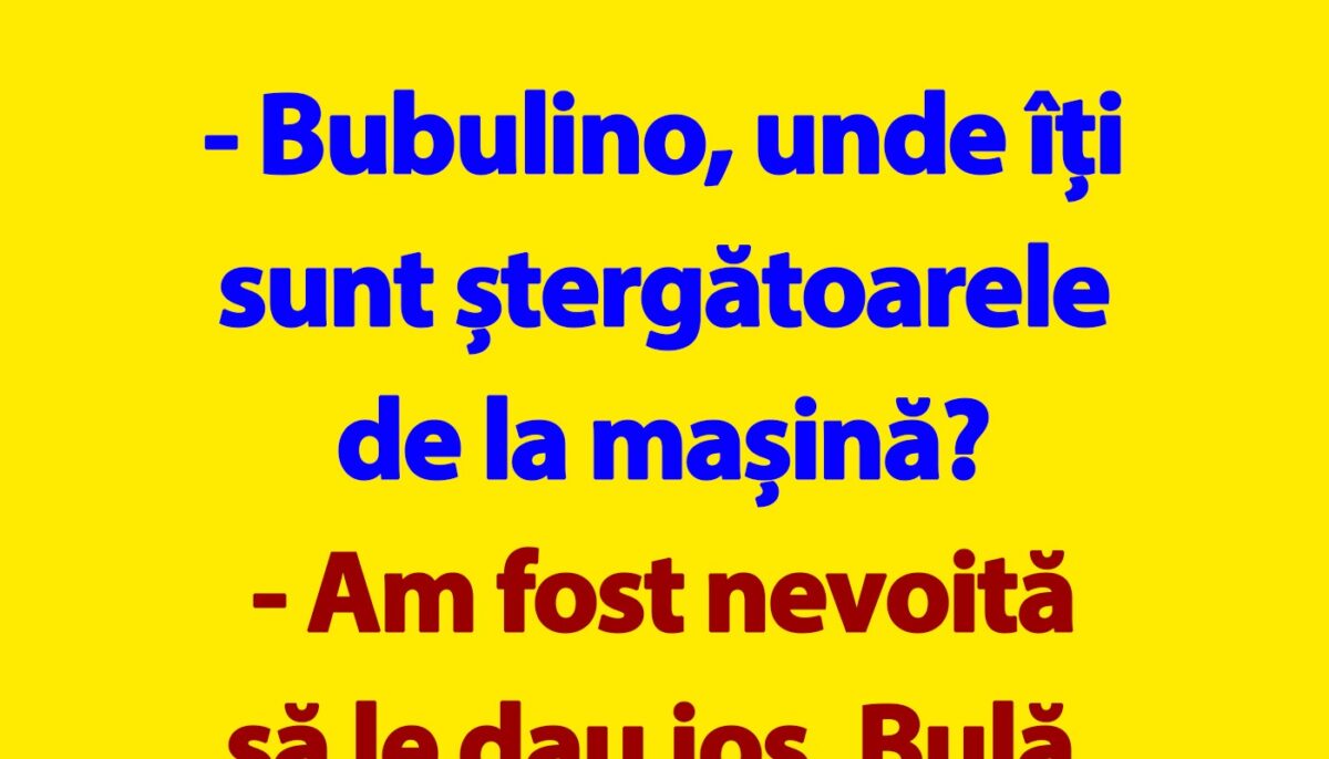 Imagine Stire BANC | Bulă și ștergătoarele de la mașina Bubulinei | 2review.ro