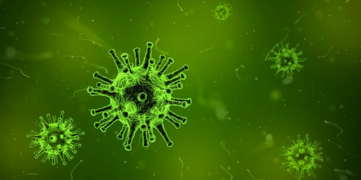 Ce este Serratia marcescens, bacteria din cauza căreia au murit 6 copii la Spitalul ”Sfânta Maria” din Iași