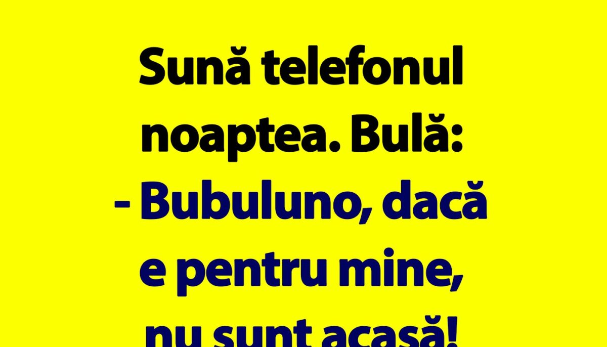 Imagine Stire BANC | Sună telefonul noaptea. Bulă: „Bubuluni, dacă e pentru mine, nu sunt acasă” | 2review.ro