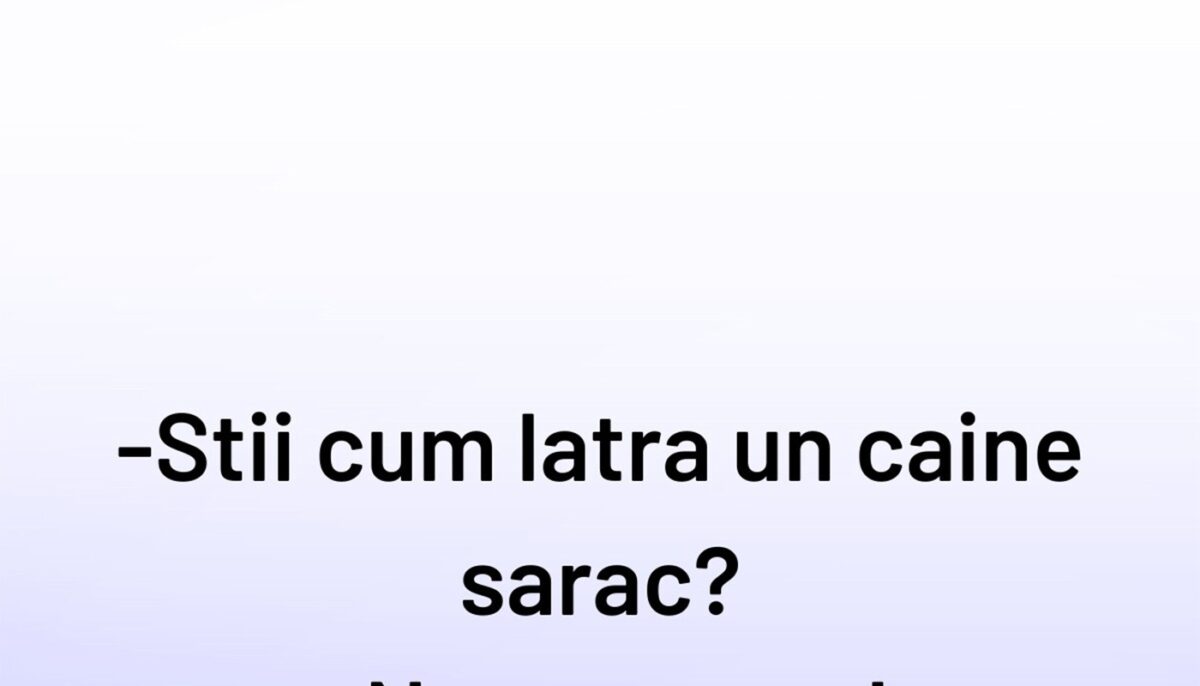 Imagine Stire BANCUL ZILEI | Cum latră un câine sărac | 2review.ro