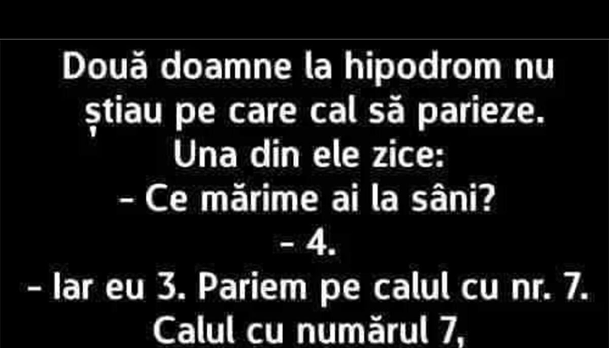 BANC | Două doamne la hipodrom