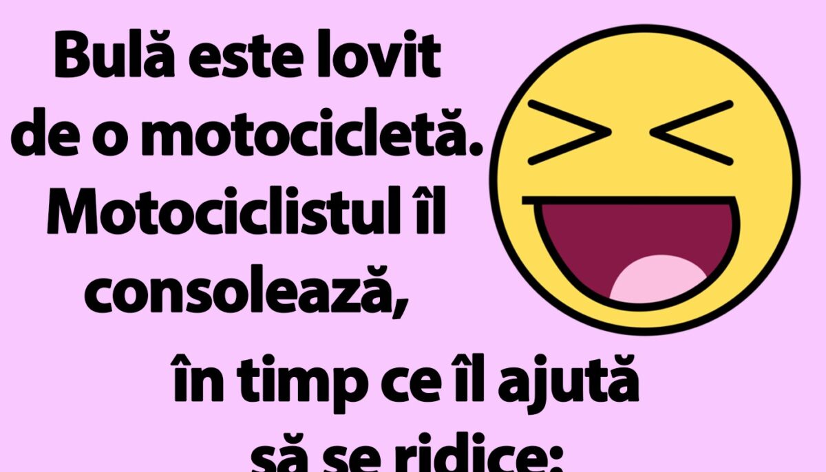 Imagine Stire BANC | Bulă este lovit de o motocicletă | 2review.ro