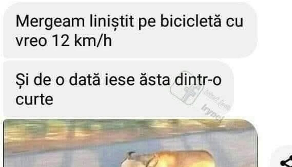 Imagine Stire BANCUL ZILEI | „Mergeam liniștit cu bicicleta” | 2review.ro