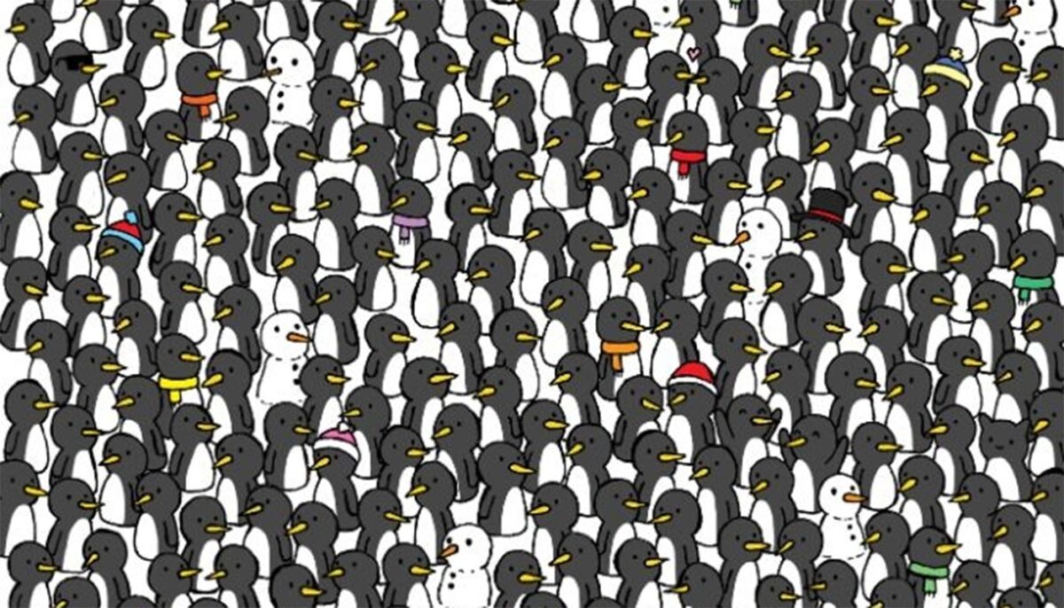 Test de perspicacitate | Doar 1 dintre 500 de oameni poate identifica 3 pisici printre pinguinii din imagine