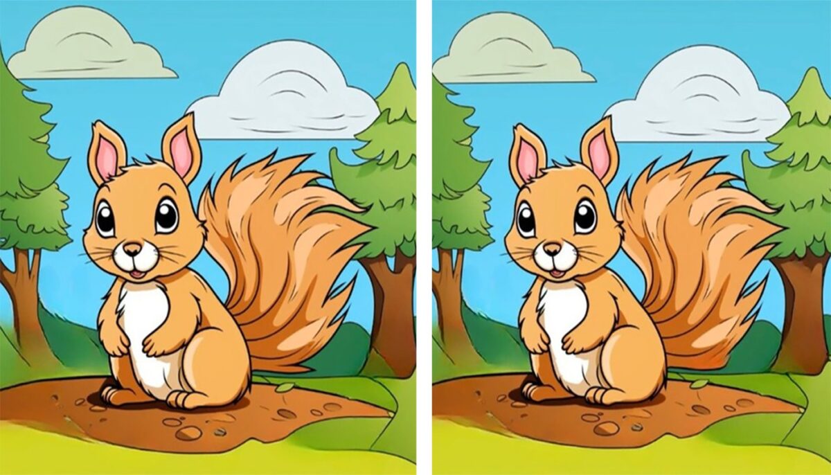 Imagine Stire Test de perspicacitate | Identificați toate cele 3 diferențe dintre veverițele din această imagine! | 2review.ro