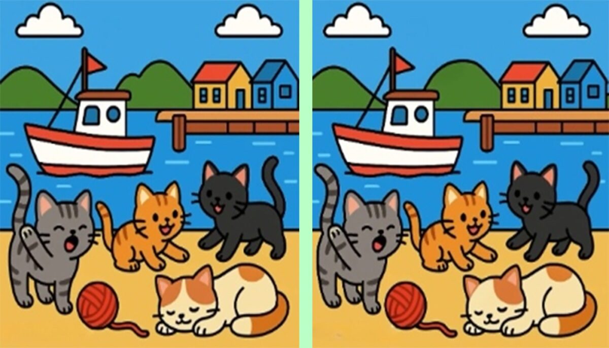 Imagine Stire TEST IQ | Aveți la dispoziție 23 de secunde pentru a identifica toate cele 3 diferențe dintre pisicile din imagine | 2review.ro