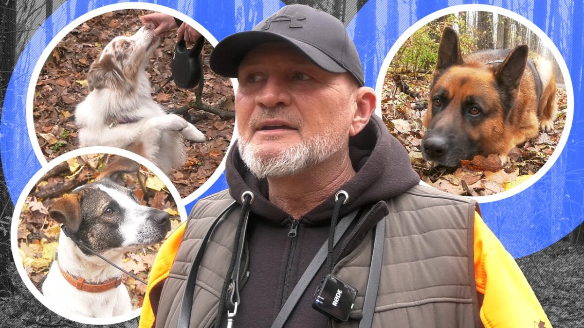 Cei mai simpatici căței, față-n față cu dresori de top: „Am educat și câinii vedetelor” | EXCLUSIV