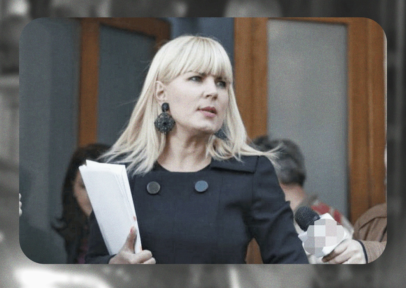 Elena Udrea își cere bunurile înapoi