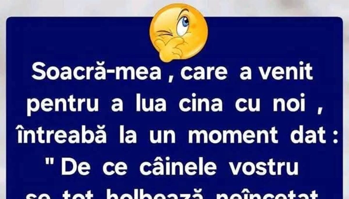 Imagine Stire Bancul sfârșitului de săptămână | Soacra și câinele | 2review.ro