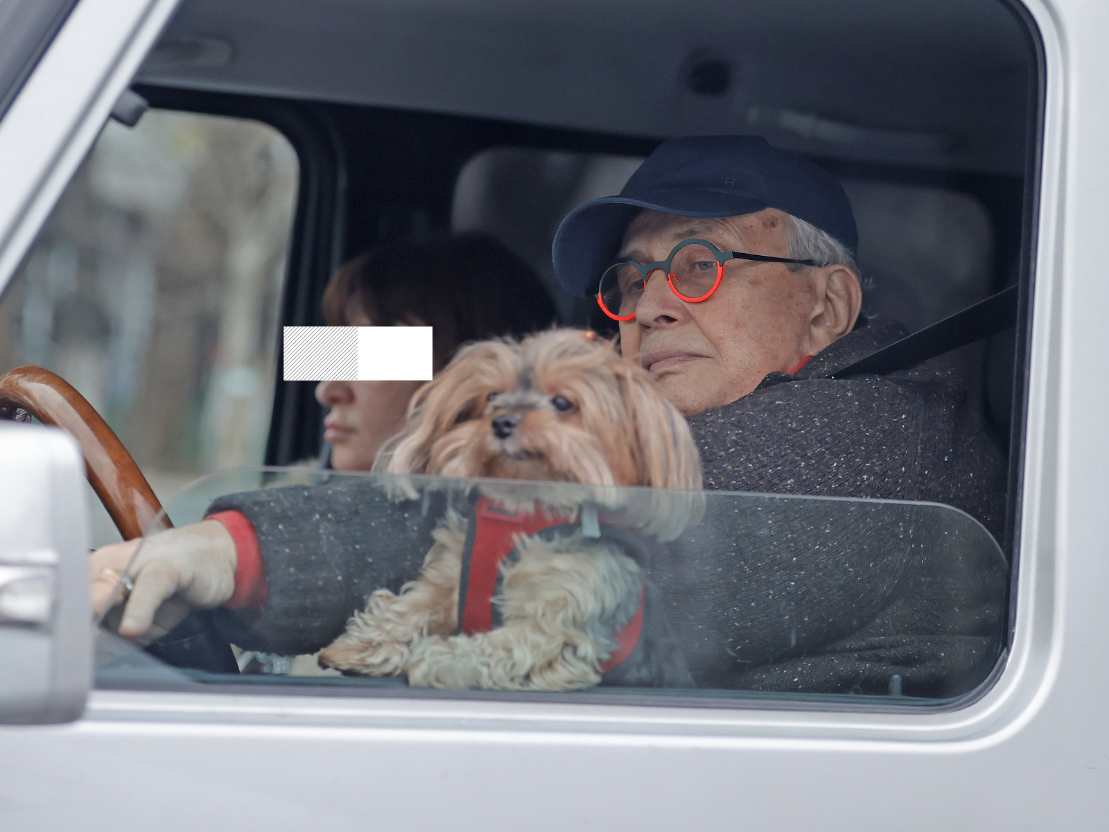 Yorkie-ul său are un loc special, atât în inimă, cât și în mașină