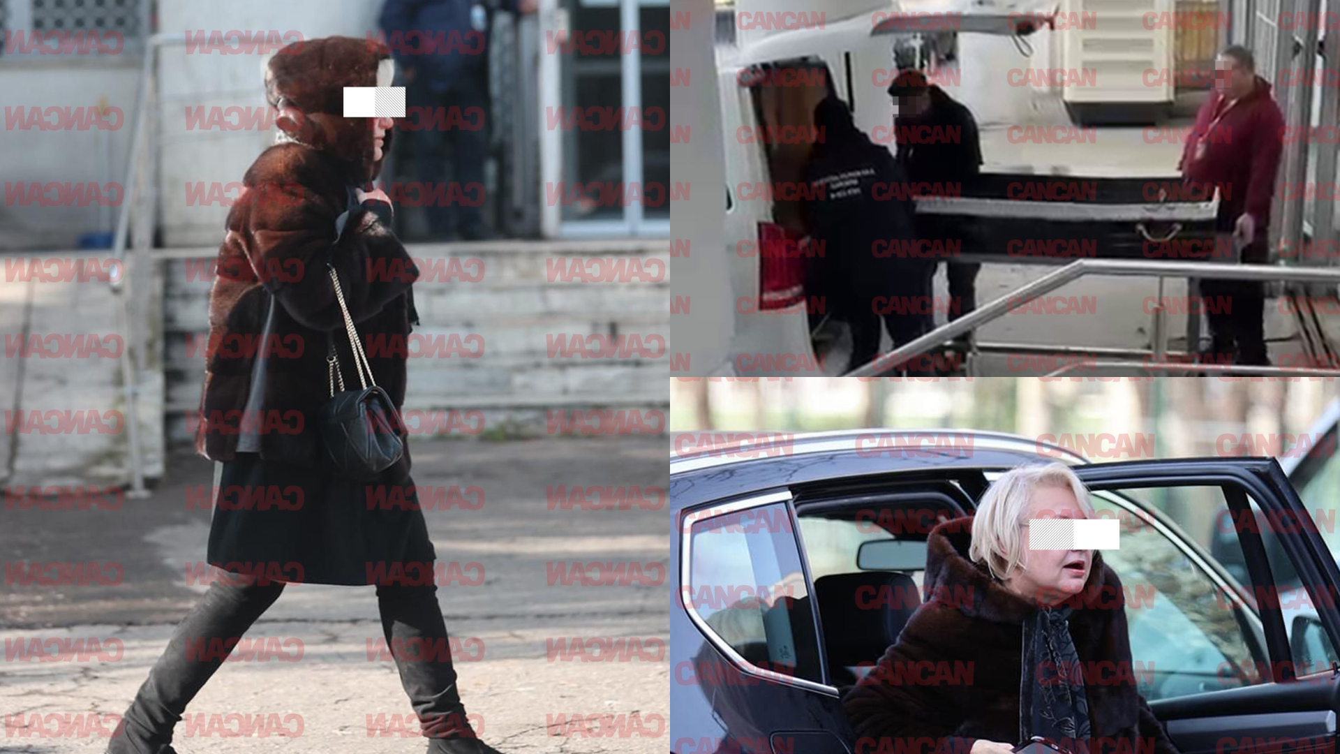 Ea e nepoata care luptă pentru moștenirea Rodicăi Stănoiu