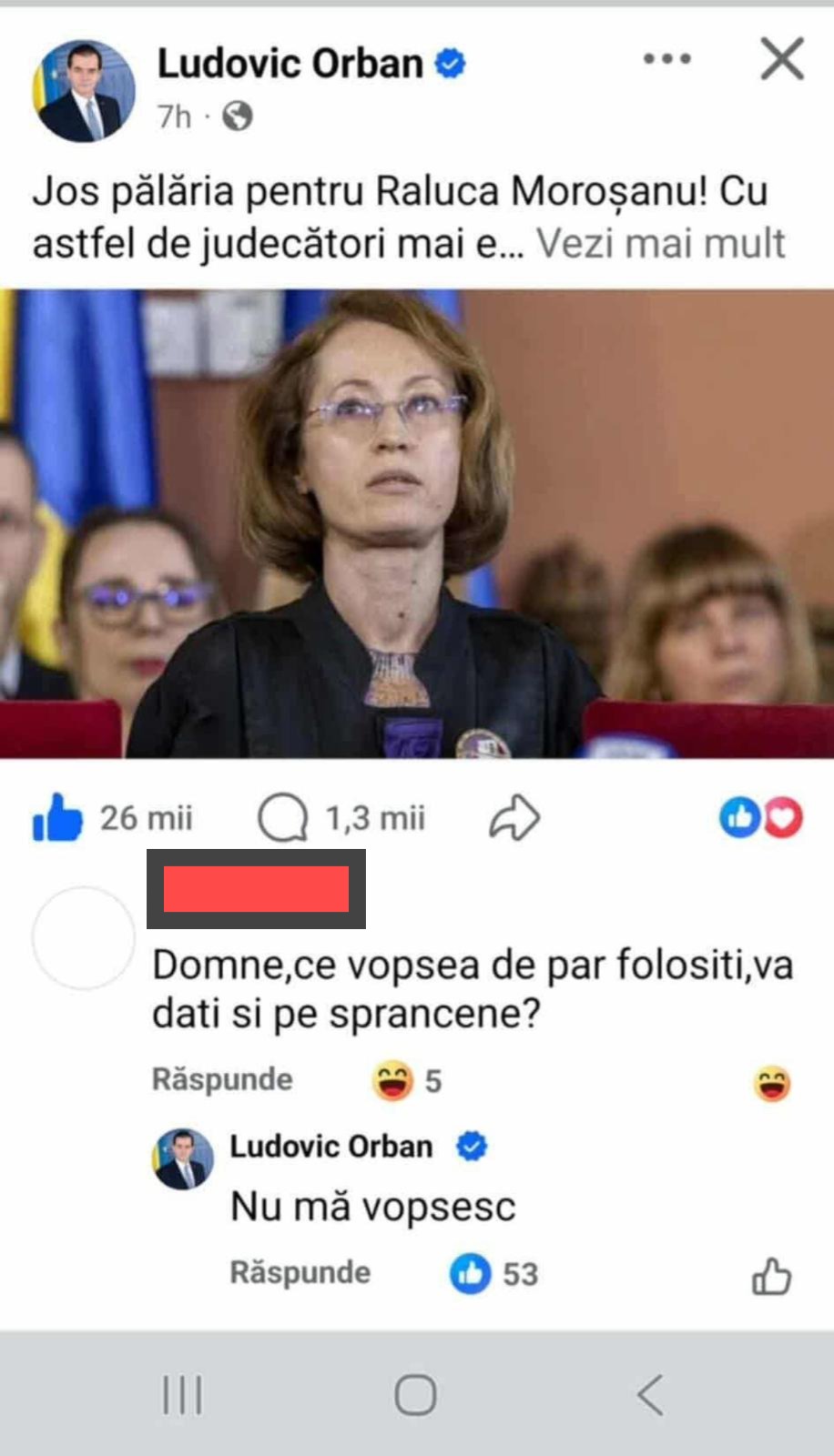 Se vopsește sau nu Ludovic Orban? Sursa foto: captură Facebook