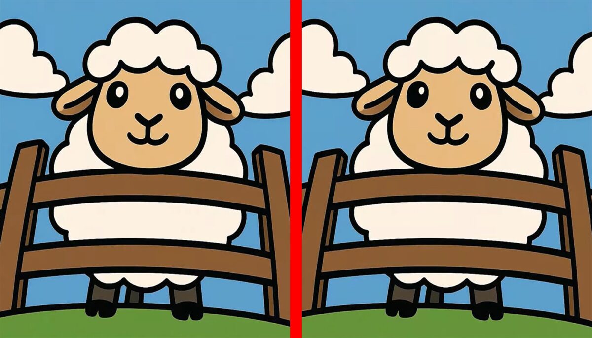Imagine Stire Test de logică | În maximum un minut, identificați toate cel 3 diferențe dintre aceste două oi | 2review.ro
