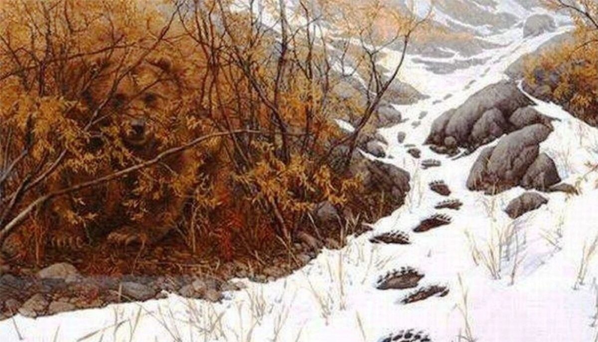 Imagine Stire Test de inteligență exclusiv pentru genii | Ale cui sunt urmele de pași lăsate în zăpadă? | 2review.ro