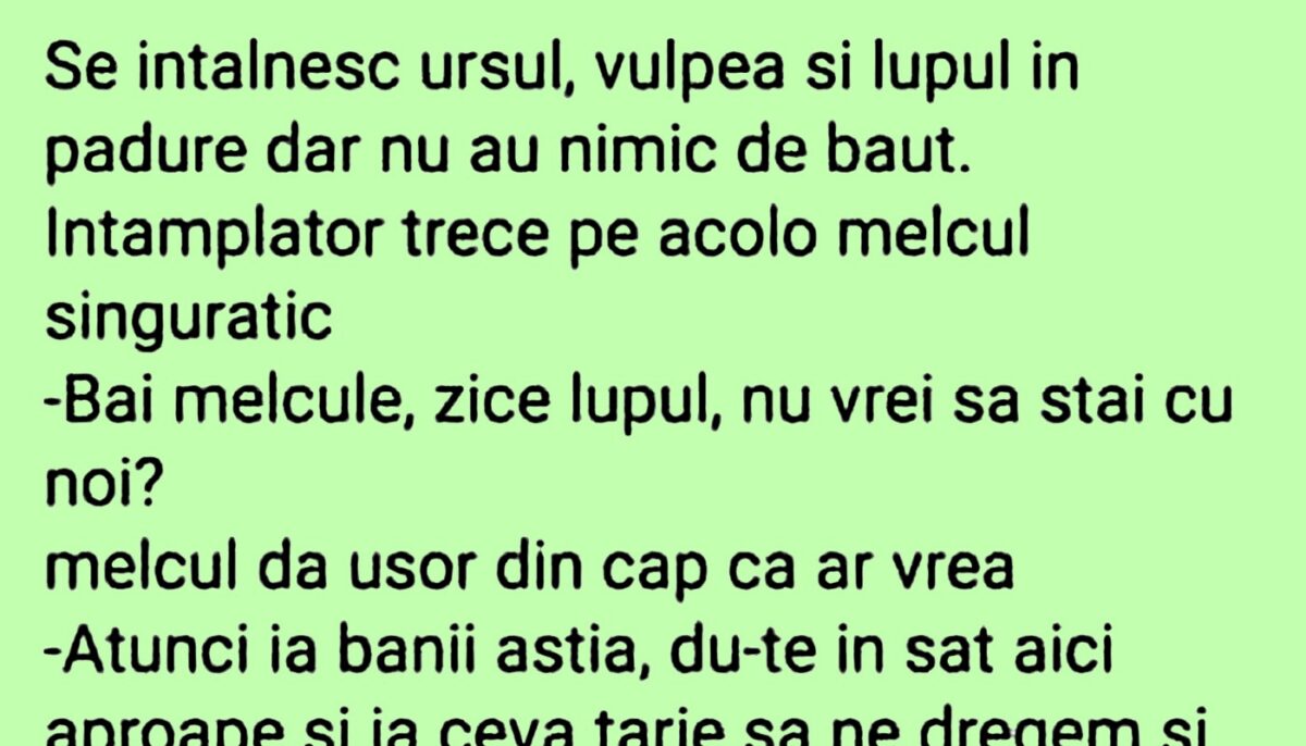 Imagine Stire BANC | De ce nu e bine să trimiți melcul după băutură | 2review.ro