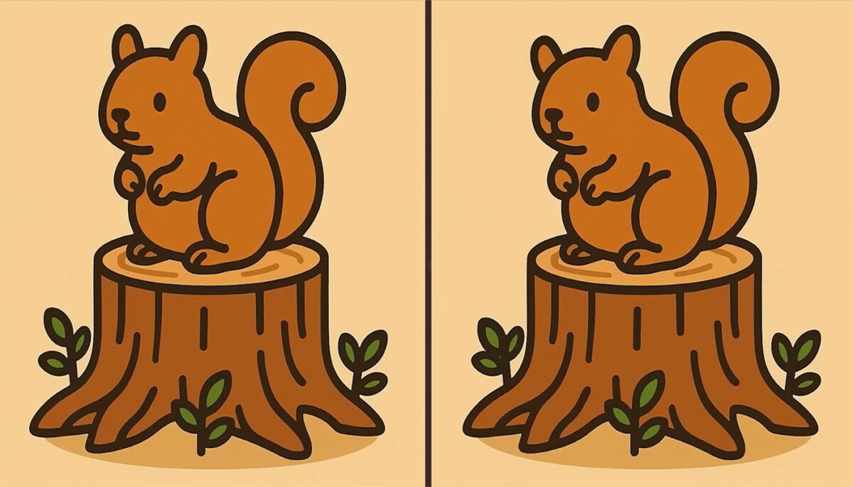 Imagine Stire Test de logică | 3 diferențe în maximum 33 de secunde – Le puteți identifica pe toate? | 2review.ro