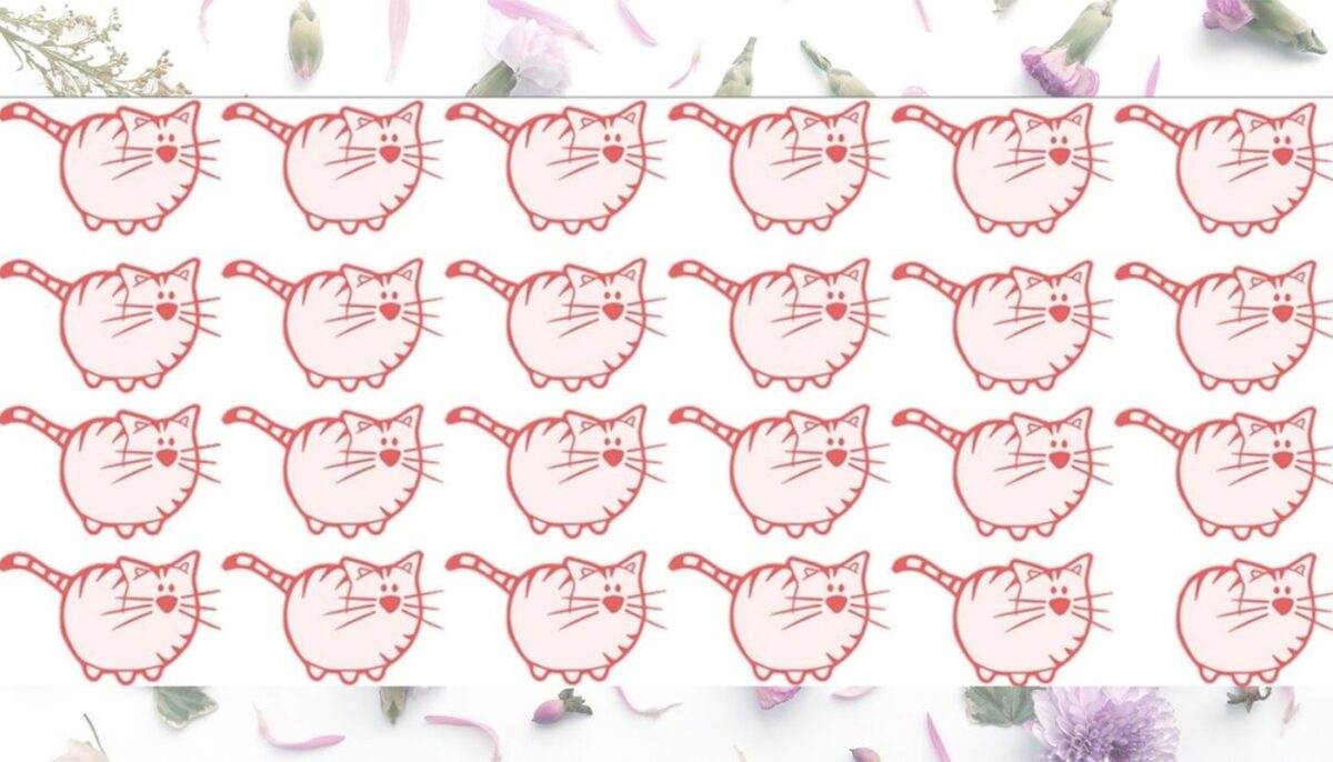 Imagine Stire Test de logică | Găsiți singura pisică diferită de toate celelalte! | 2review.ro