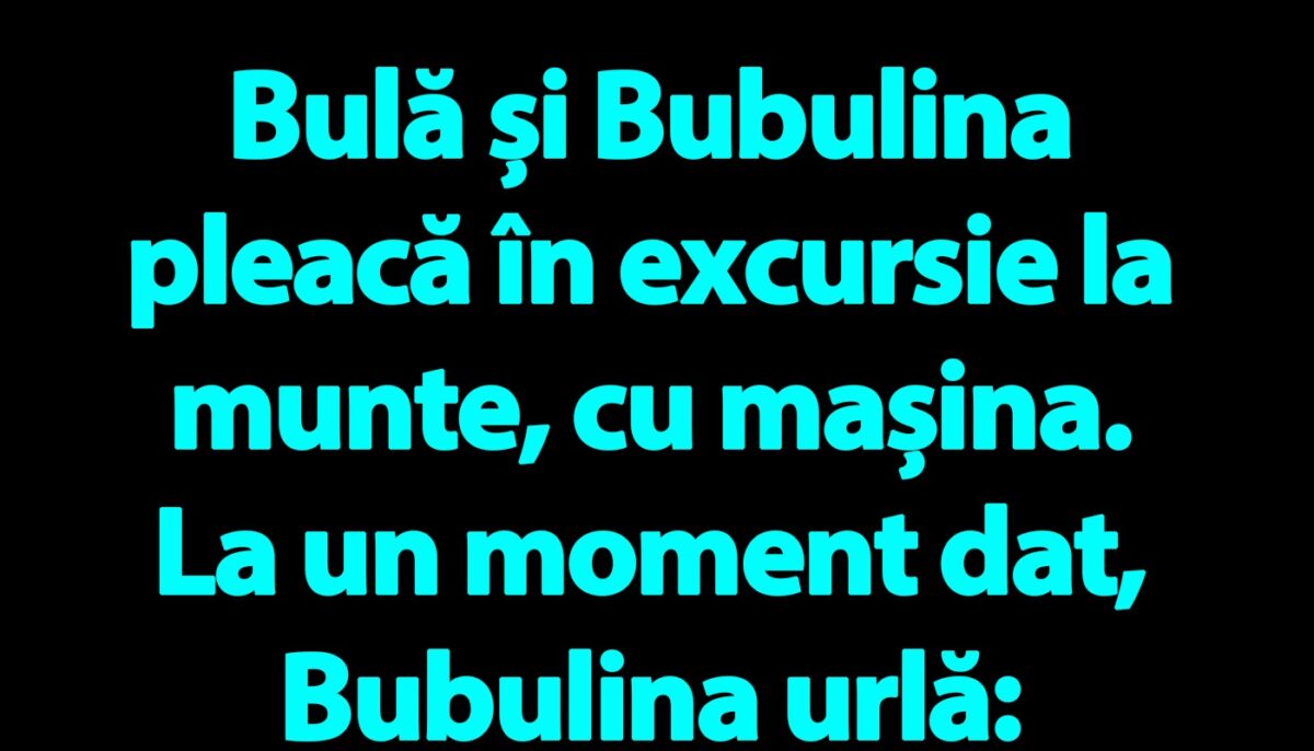Imagine Stire BANC | Bulă și Bubulina pleacă în excursie la munte, cu mașina | 2review.ro