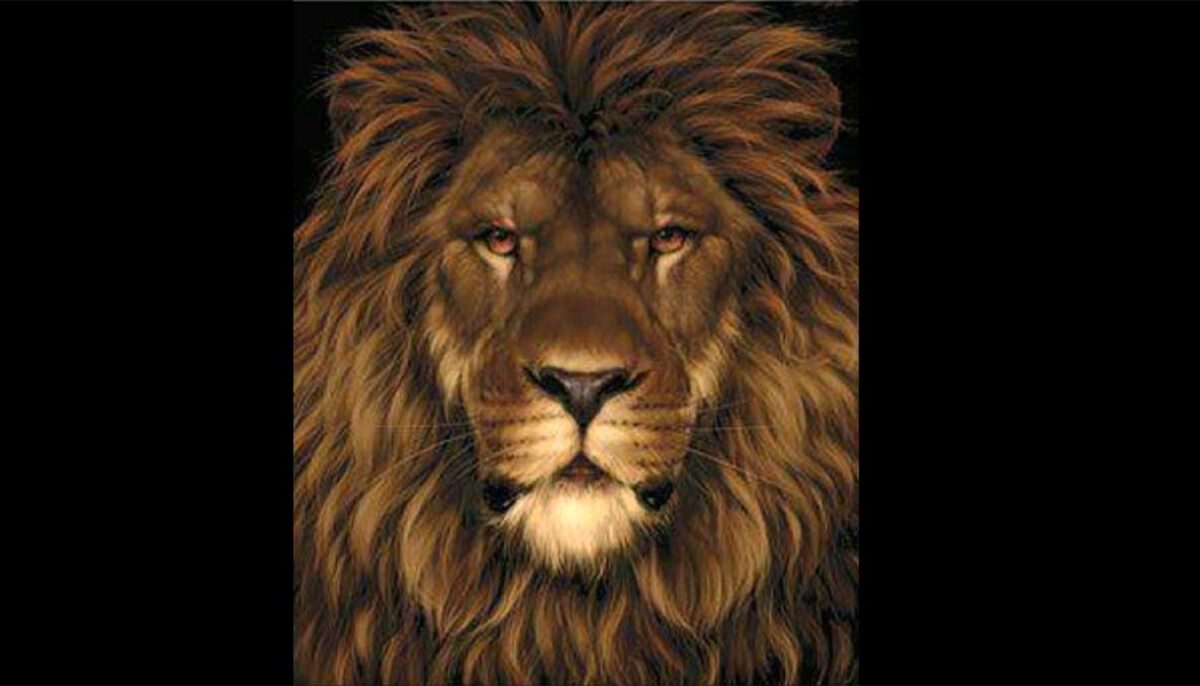 Imagine Stire Test IQ exclusiv pentru genii | În această poză apare un leu, dar nu doar atât. Găsiți șobolanul ascuns! | 2review.ro