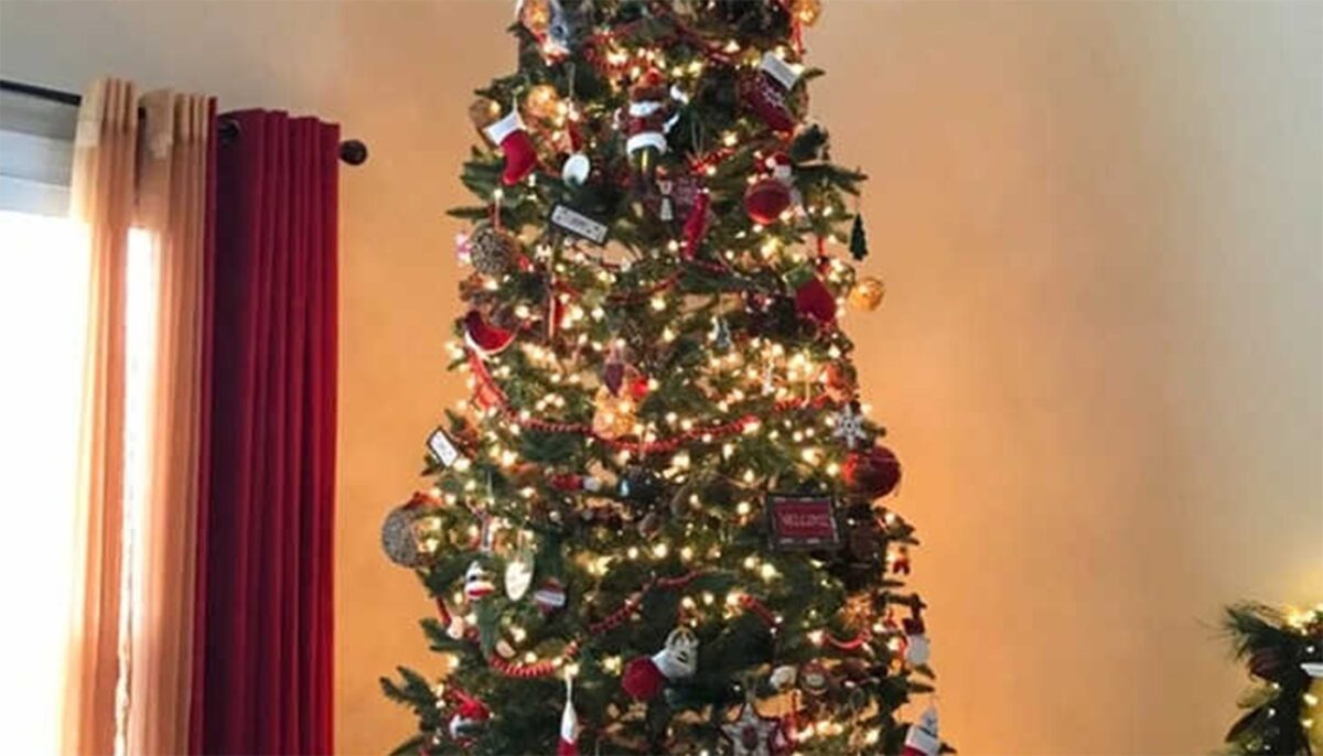 Imagine Stire Iluzie optică de Ajun | Găsiți pisica ascunsă în bradul de Crăciun din imagine | 2review.ro