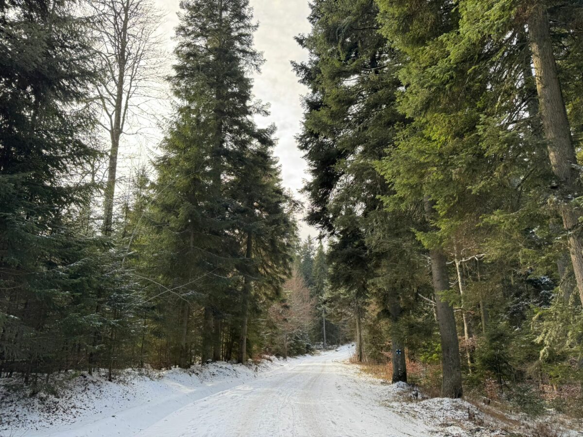 Prognoza meteo azi, 27 decembrie 2025. Frigul a pus stăpânire pe România! Zonele în care va ninge ca în basme