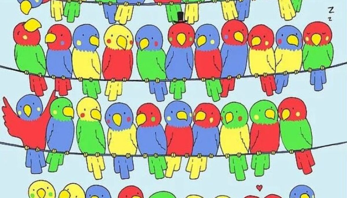 Imagine Stire Test IQ exclusiv pentru genii | Identificați singurul papagal fără pereche! | 2review.ro