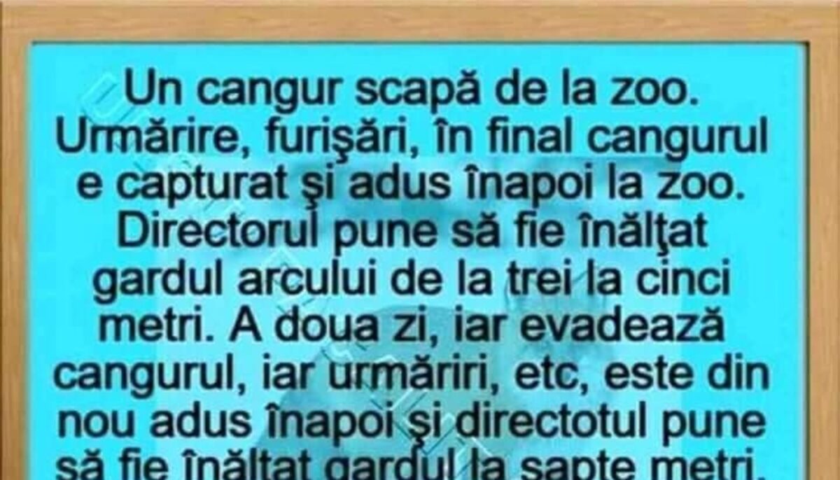 Imagine Stire BANCUL ZILEI | Un cangur scapă de la zoo | 2review.ro