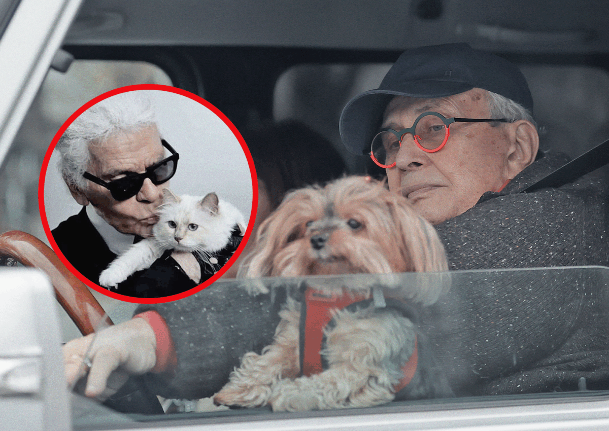 „Tatăl” Braiconf, cu lățosul în poale! După tentativa de răpire, „Lagerfeld de România” a înăsprit măsurile de securitate
