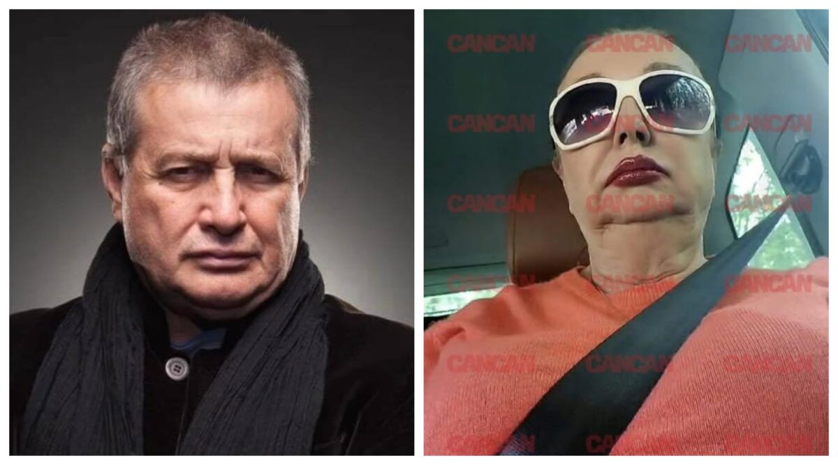 Derapajul lui Mircea Dinescu. A lansat un atac controversat la adresa Rodicăi Stănoiu: ”Nu întâmplător am pomenit”