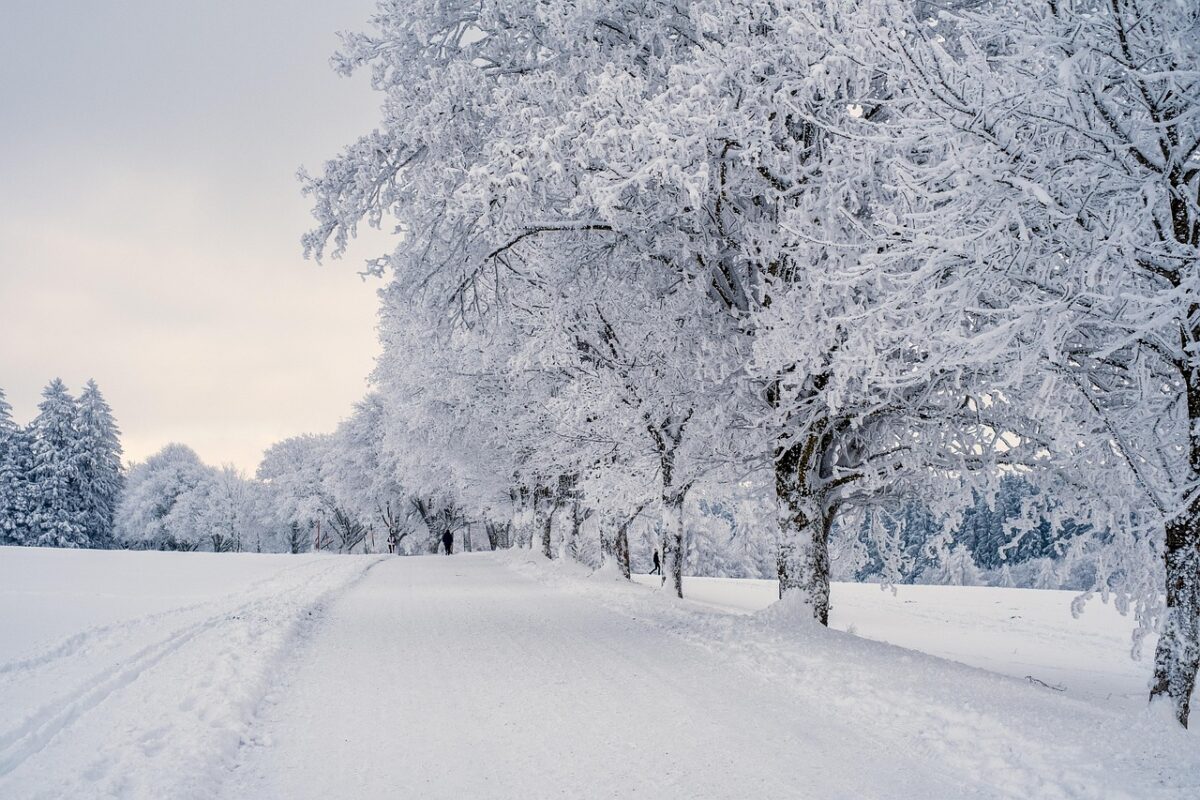 Când vin ninsorile în România, potrivit ANM. Sărbători cu temperaturi neobișnuite