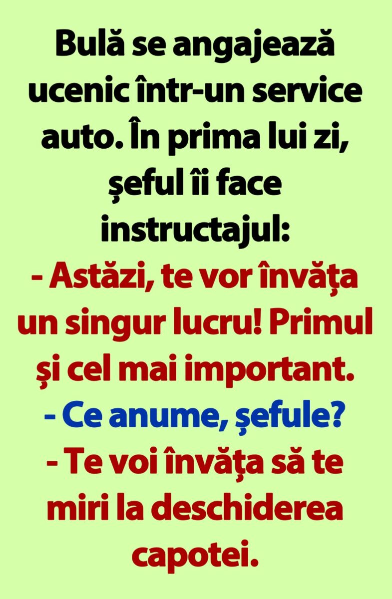 Bulă se angajează ucenic