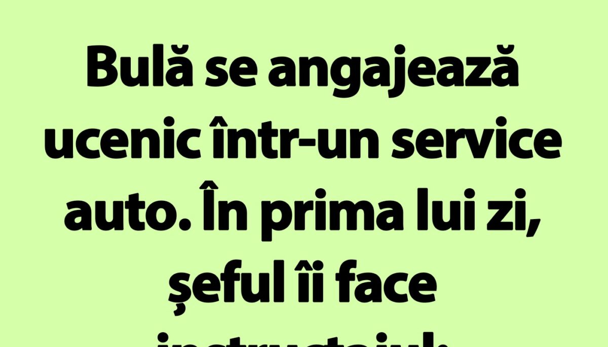 Imagine Stire BANC | Bulă se angajează ucenic într-un service auto | 2review.ro