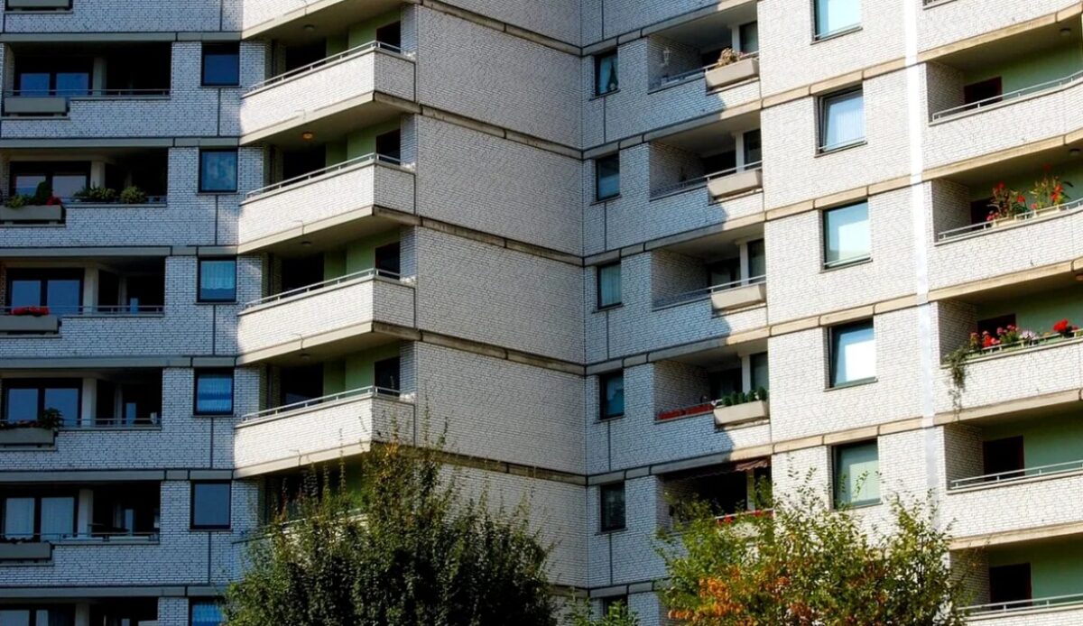 Regulile pentru locatari